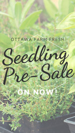 The Ottawa Farm Fresh Seedling Sale Is On!