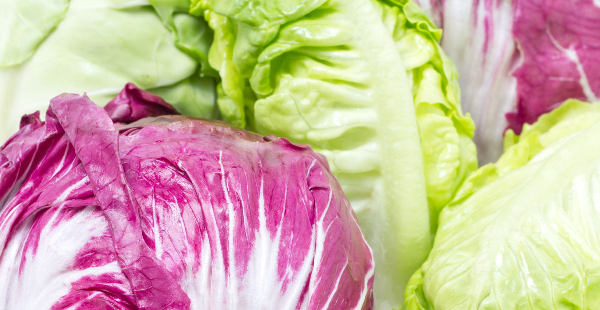 Pasta with Radicchio, Bacon & Walnuts Ottawa Farm Fresh