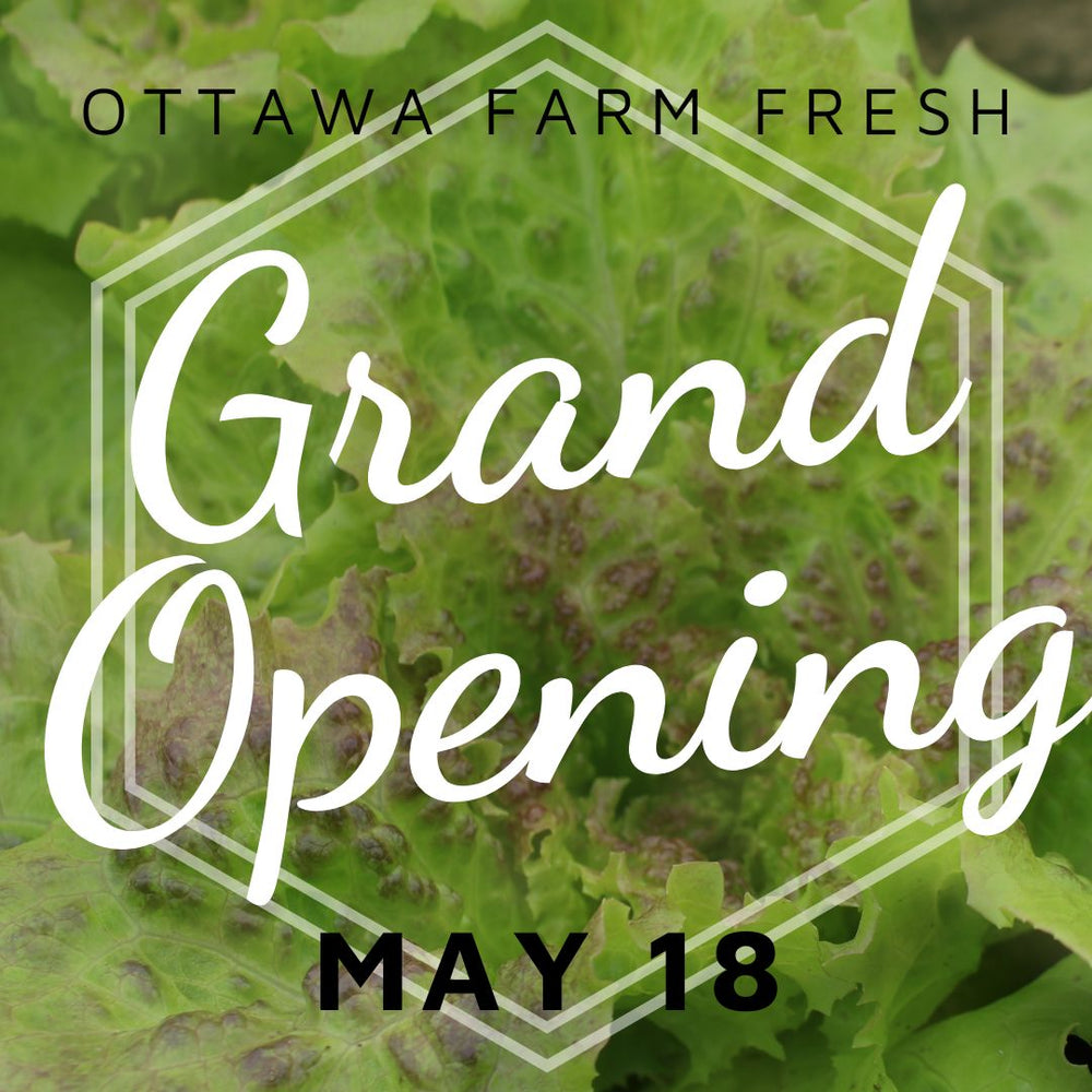 Grand Opening - May 18