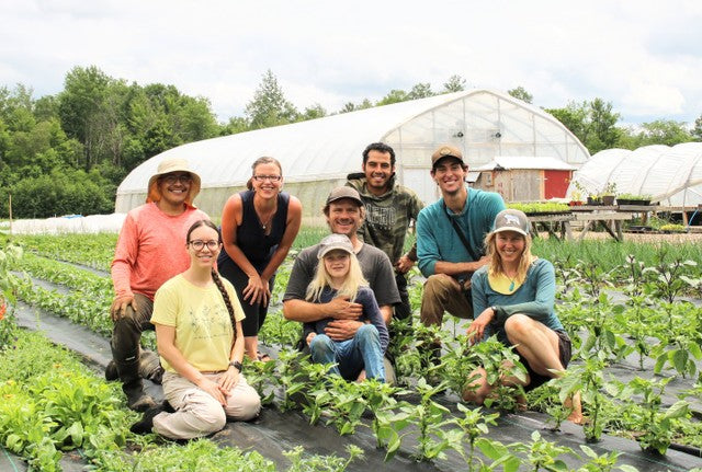 Ottawa Farm Fresh | Organic CSA Baskets & Organic Farm in Ottawa