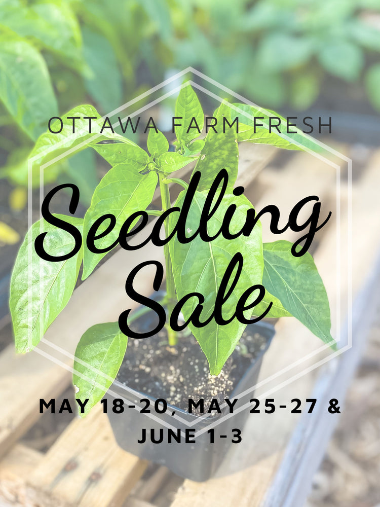 Ottawa Farm Fresh Seedling Sale!