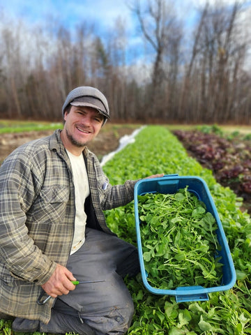 Arugula Pesto