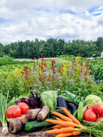 From Soil to Plate: The power of organic farming
