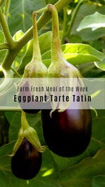 Eggplant Tarte Tatin