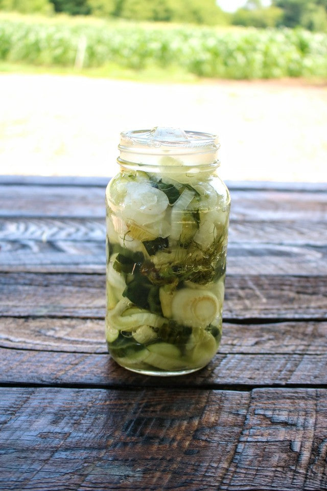 Fermented Fennel & Cucumber Recipe