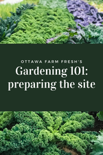 Gardening 101: Preparing the Site