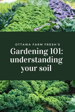 Gardening 101: Understanding Your Soil