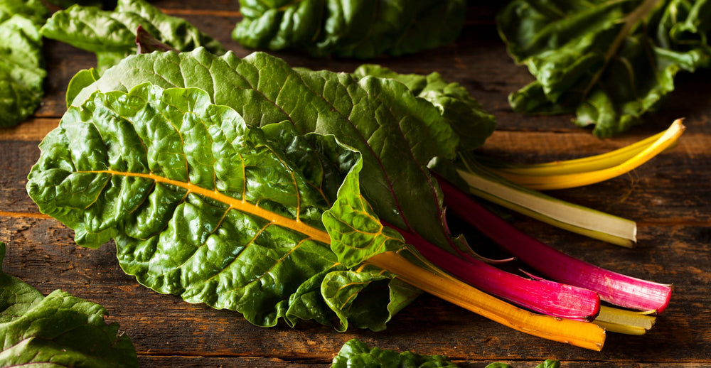 Garlic Scape, Cilantro, Swiss Chard Pesto