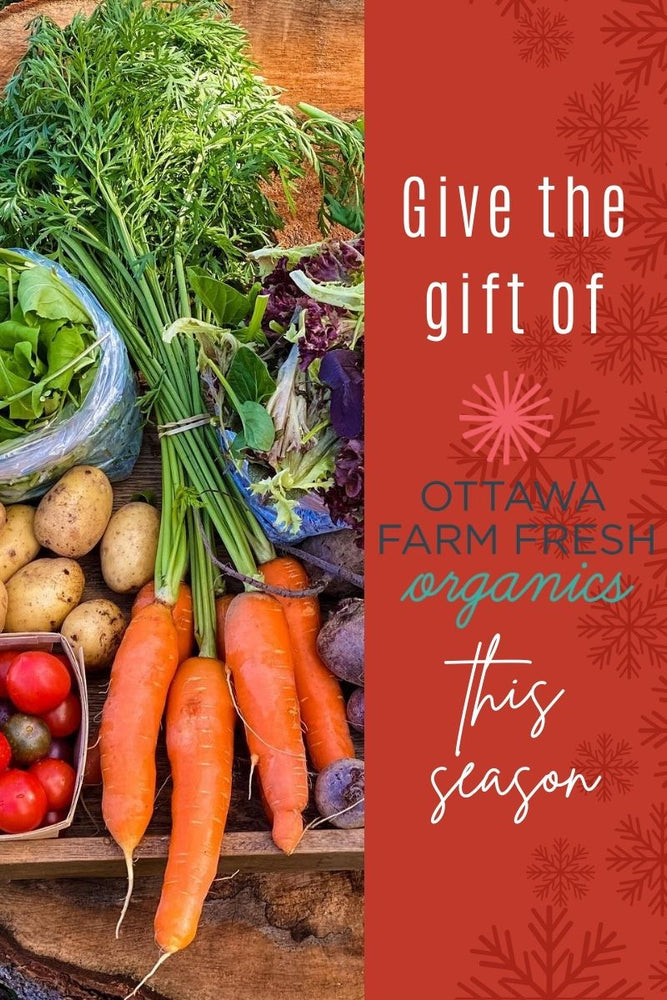 Giving the Gift of Ottawa Farm Fresh