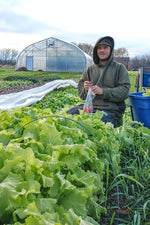 The Blessing of Local Winter Greens