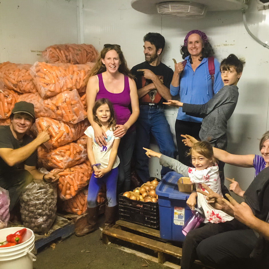 What a Great Carrot Harvesting Party!