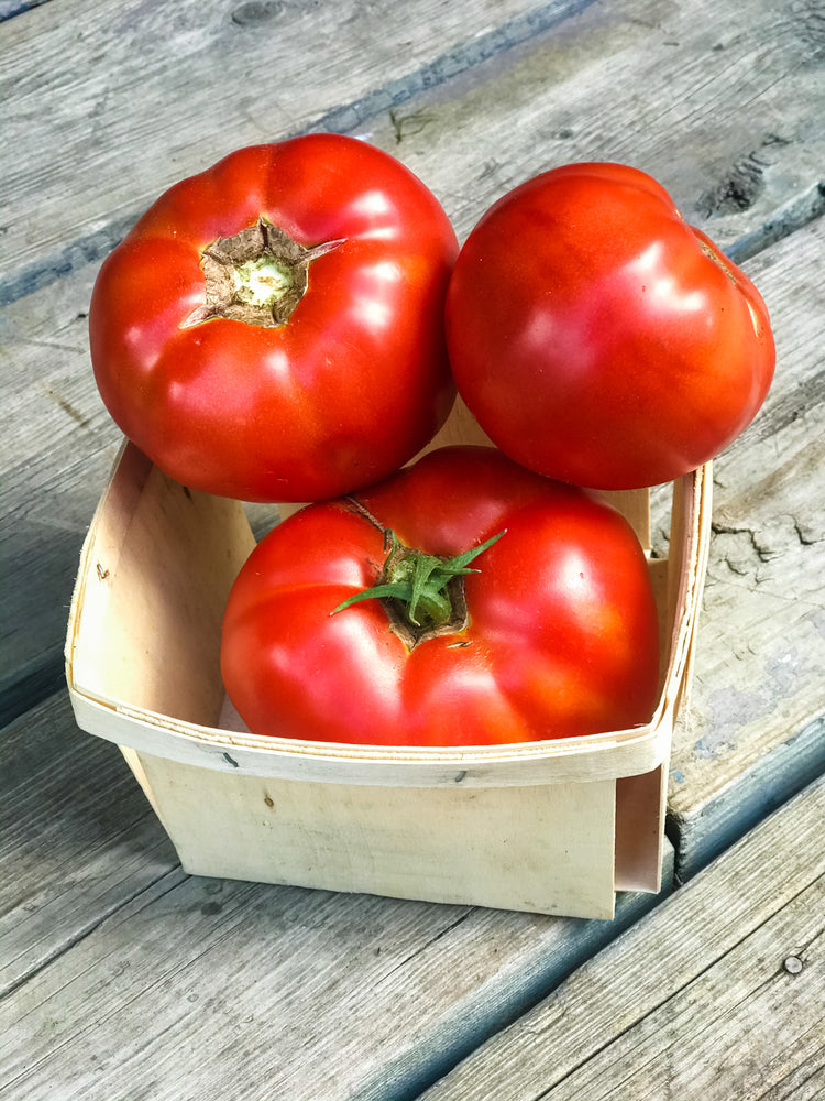 Tomato Season Is Upon Us!