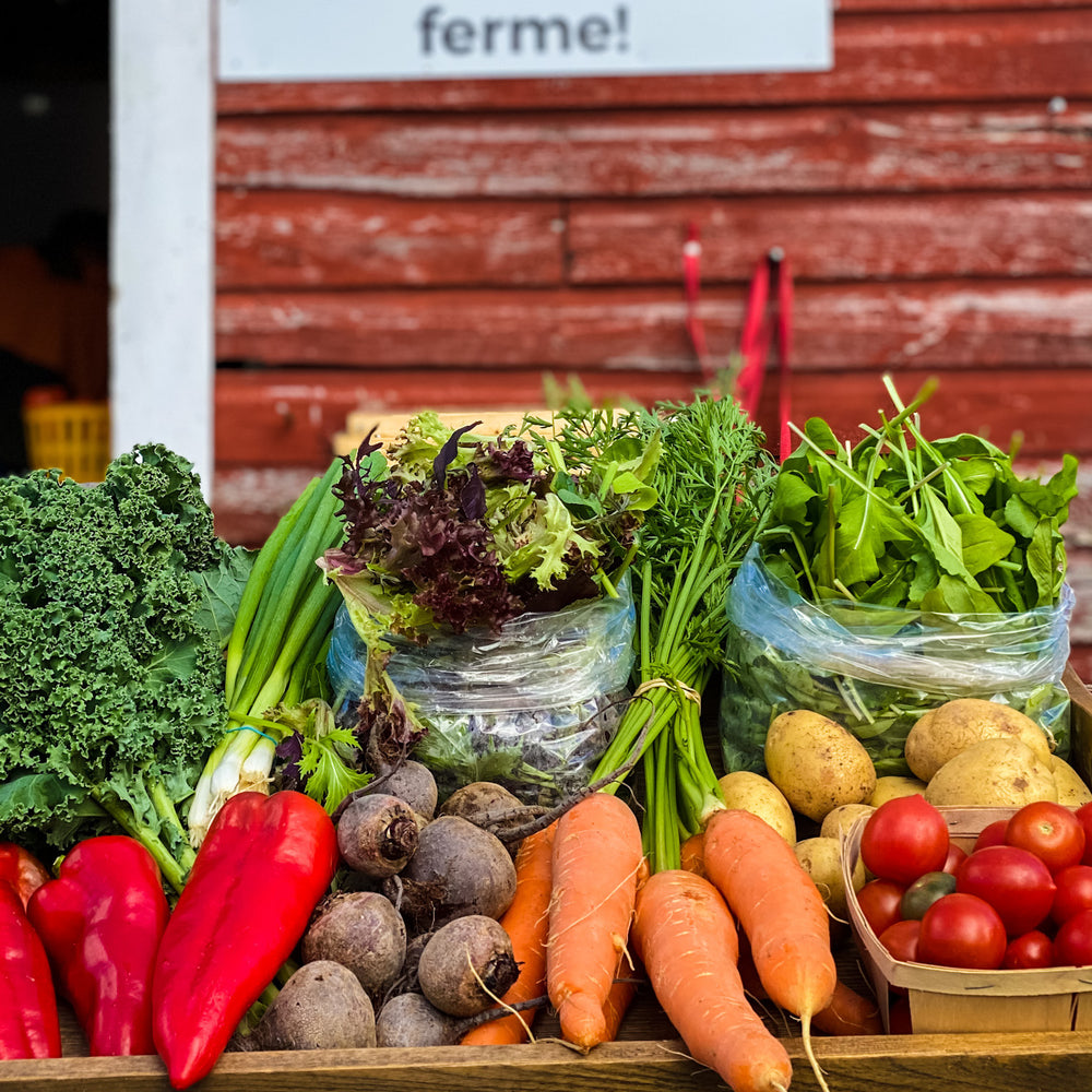 Winter CSA Baskets & Big Goal Update