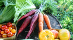 Marinated Carrot & Pepper Salad