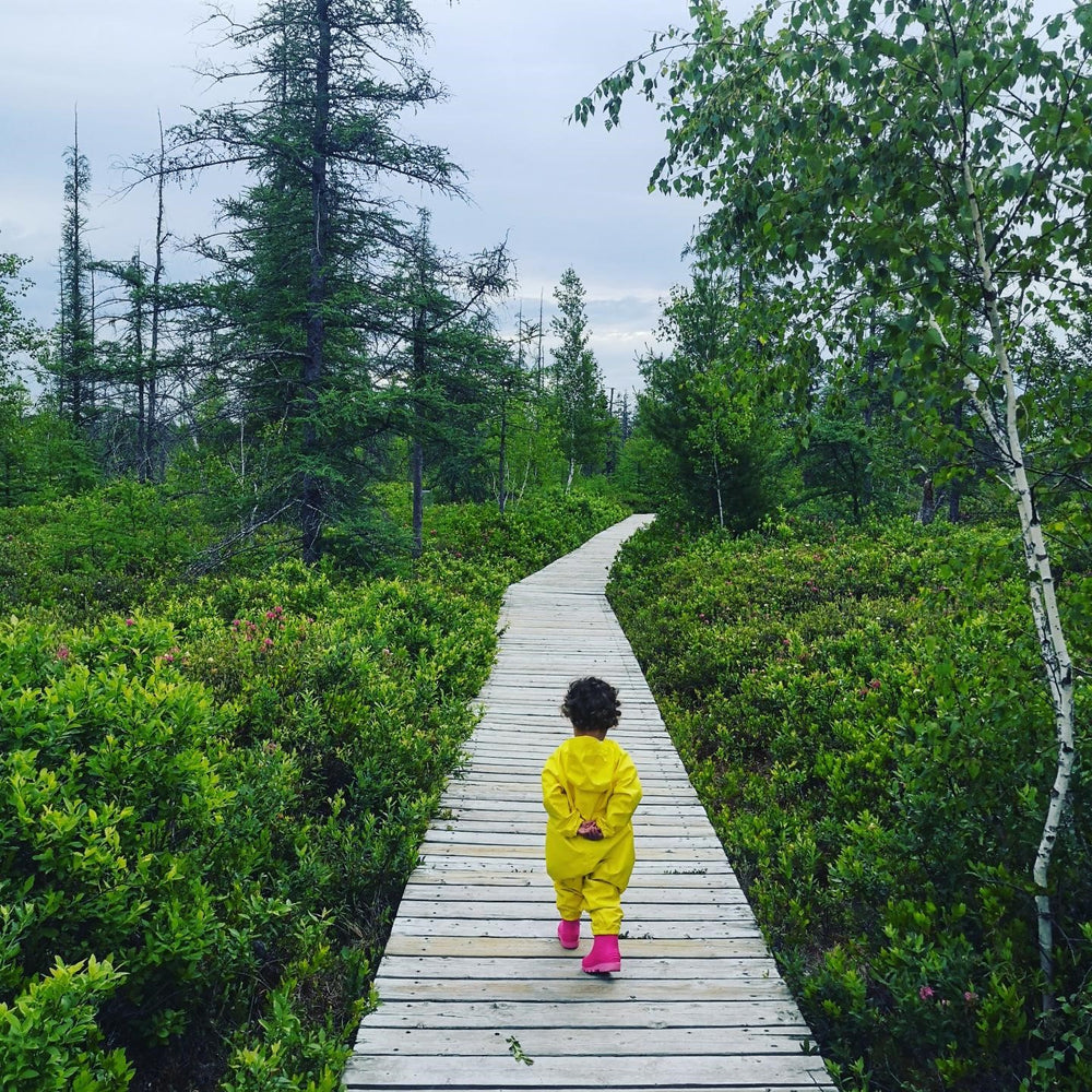Getting Out in the Greenbelt: 5 NCC trails near Ottawa Farm Fresh