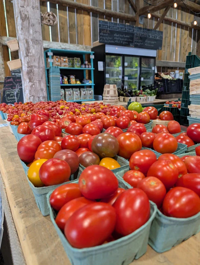 It's Tomato Time in Ottawa: Let’s Get Saucy