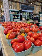 It's Tomato Time in Ottawa: Let’s Get Saucy