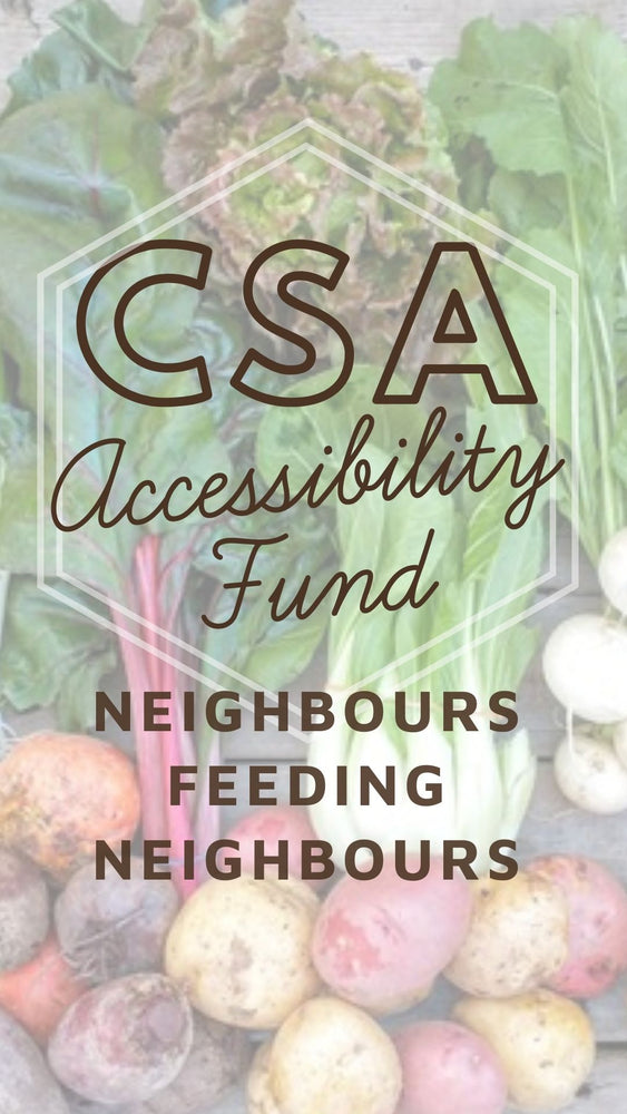 CSA Accessibility Fund