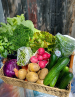 Summer Abundance CSA Starts THIS WEEK - June 6!