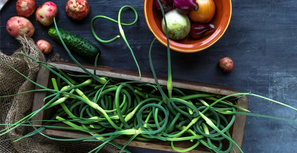 Oven Roasted Garlic Scapes