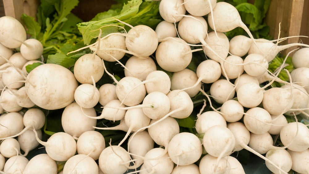 Quick Pickled Sugardrop Radishes