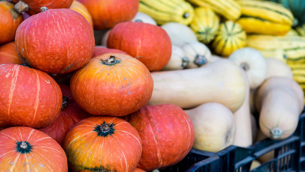 SMOKY SQUASH MAC & CHEESE