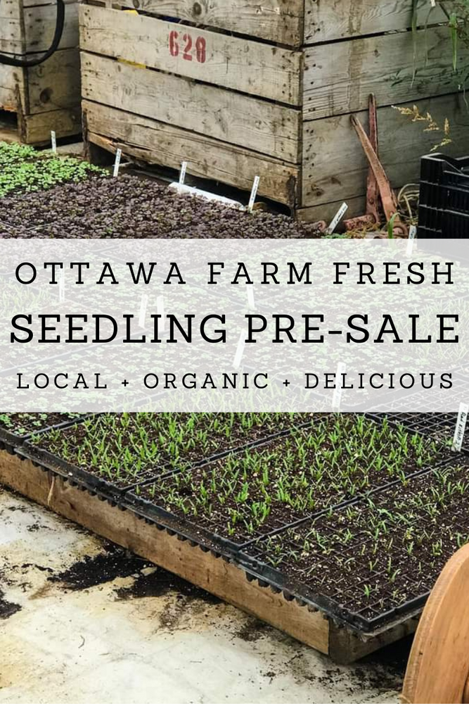 Ottawa Farm Fresh First Annual Seedling Pre-Sale