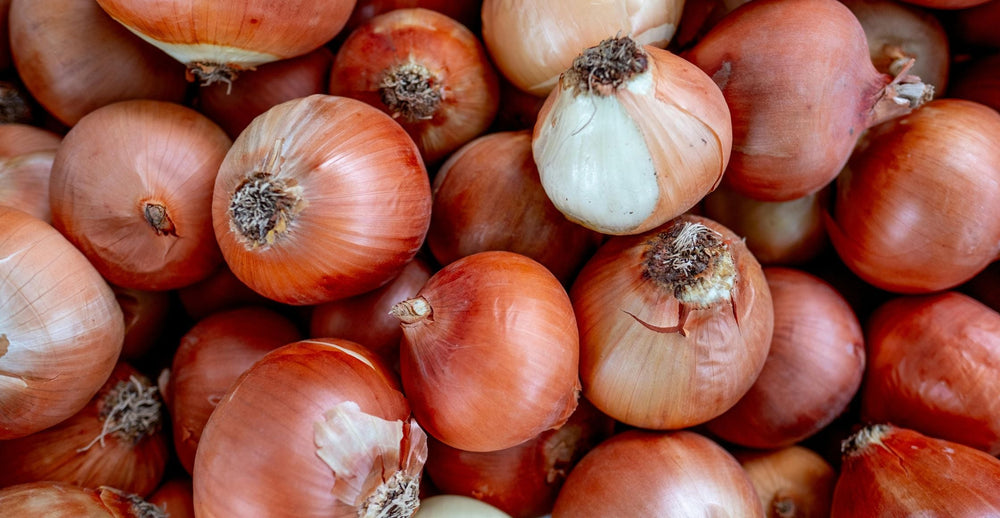 Slow Cooker Caramelized Onions