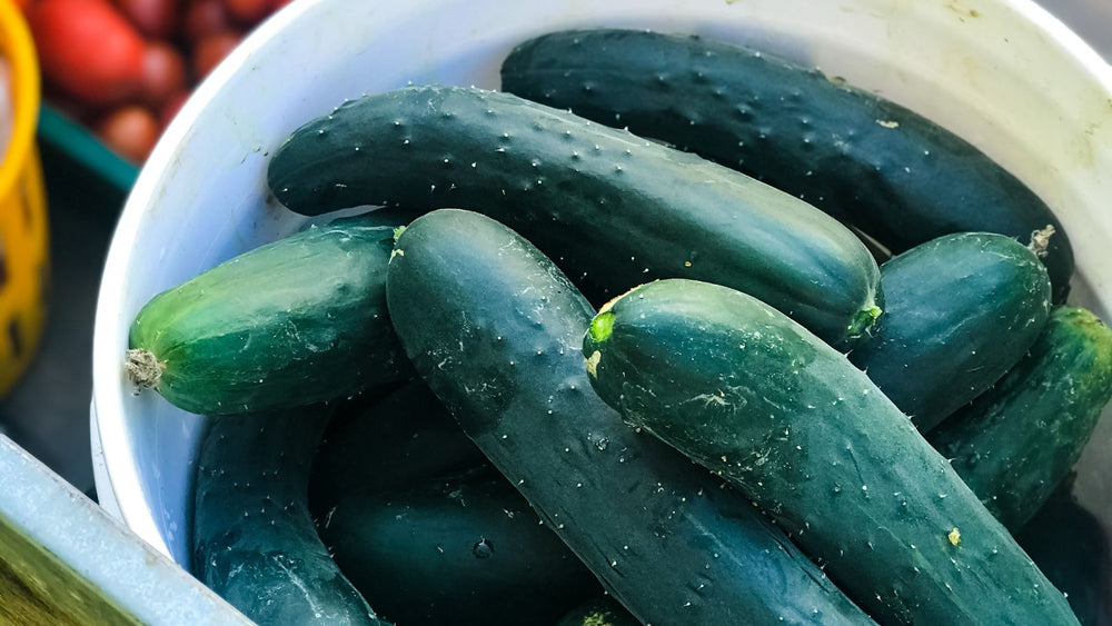 Super Simple Cucumber Relish