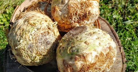 White Bean Celeriac Puree