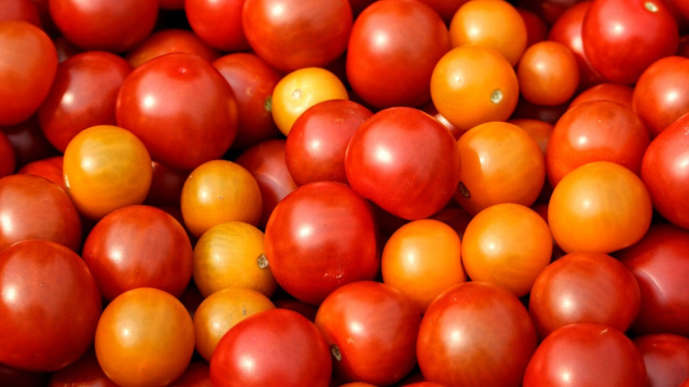 Preserved Tomatoes in Olive Oil