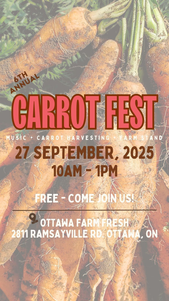 Carrot Fest is Back! Join Us for Our 6th Annual Celebration
