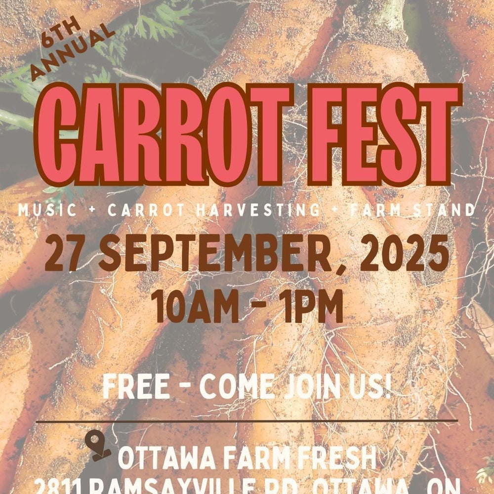 Carrot Fest is Back! Join Us for Our 6th Annual Celebration