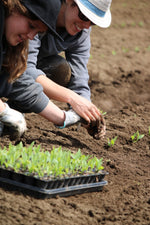 Spring Planting & Potluck Day! June 4