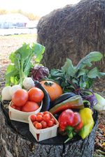 Join the Fall & Winter CSA