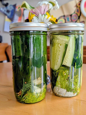 Lacto-Fermented Dill Pickles