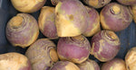 Mashed Rutabaga with Garlic Herb Butter