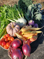 Winter CSA Registration BONUS on Now!