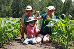 On-Farm Homeschooling Tutor