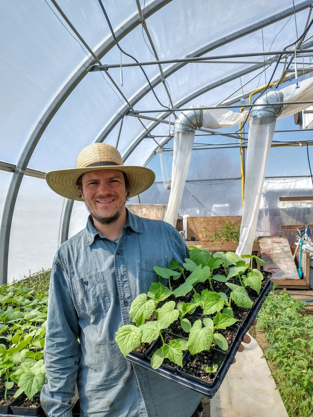 Get Your Spring Garden Veggie Ready