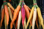 Fermented Ginger Carrots With Garlic and Seaweed