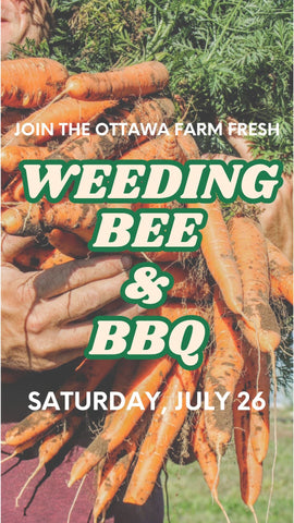 Mark Your Calendars for the Carrot Weeding Bee and BBQ