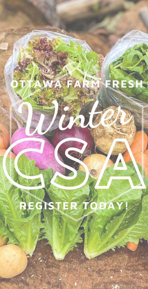 Winter CSA Info