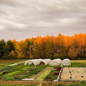 
                  
                    Charger l&amp;#39;image dans la galerie, Fall 2025 CSA - Ottawa Farm Fresh
                  
                