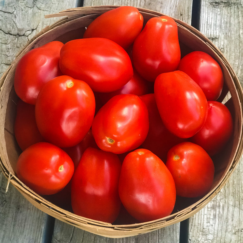 
                  
                    Load image into Gallery viewer, PRE ORDER Bulk Tomatoes for Canning
                  
                