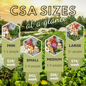
                  
                    Load image into Gallery viewer, 2026 CSA Basket Subscription - Ottawa Farm Fresh
                  
                