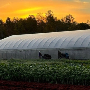
                  
                    Charger l&amp;#39;image dans la galerie, Fall 2025 CSA - Ottawa Farm Fresh
                  
                