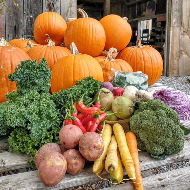 
                  
                    Charger l&amp;#39;image dans la galerie, CSA Basket Subscription - Ottawa Farm Fresh Organics
                  
                