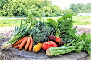 
                  
                    Load image into Gallery viewer, 2026 CSA Basket Subscription - Ottawa Farm Fresh
                  
                