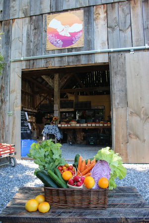
                  
                    Load image into Gallery viewer, 2026 CSA Basket Subscription - Ottawa Farm Fresh
                  
                